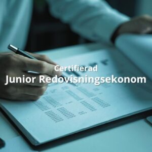 Junior Redovisningsekonom